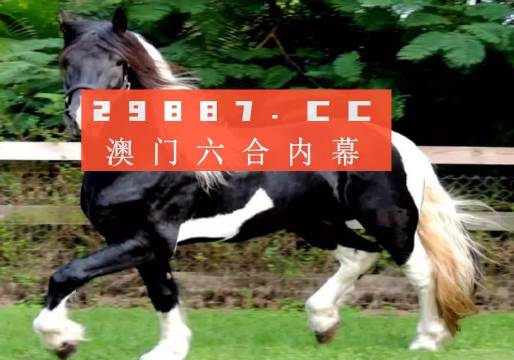 正宗香港精准一肖一码-AI搜索详细释义解释落实