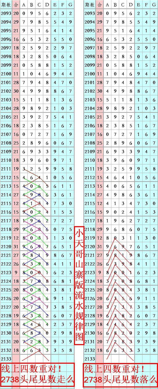 王中王六码六肖王中王-精选解析与落实的详细结果