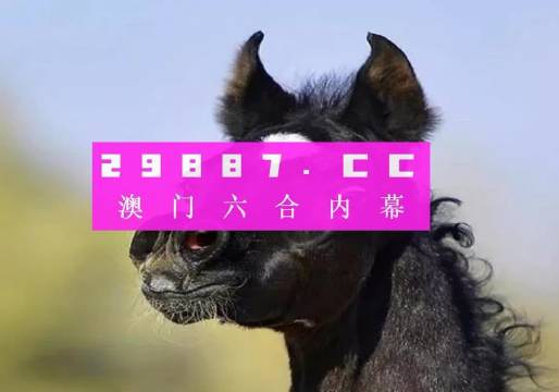 澳门小马哥一肖一码100%精准-精选解析与落实的详细结果